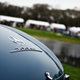 Illustration for article titled Amelia Island Concours Photodump